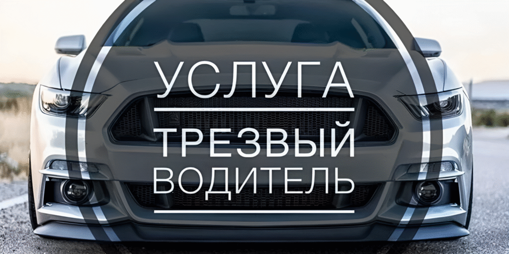 трезвый водитель минск